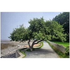 Traditional Jigsaw Puzzles