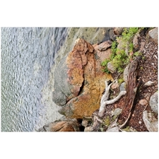 Traditional Jigsaw Puzzles