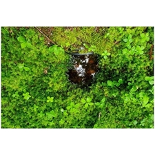 Traditional Jigsaw Puzzles