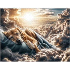 Traditional Jigsaw Puzzles