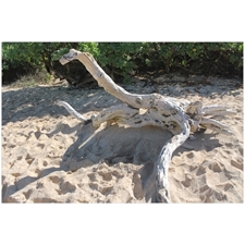 Traditional Jigsaw Puzzles