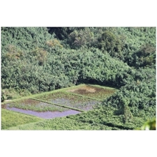 Traditional Jigsaw Puzzles