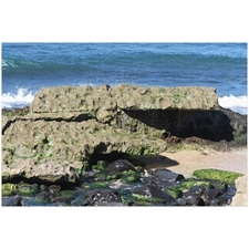 Traditional Jigsaw Puzzles