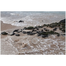 Traditional Jigsaw Puzzles
