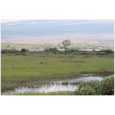 Traditional Jigsaw Puzzles