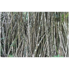 Traditional Jigsaw Puzzles