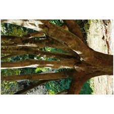 Traditional Jigsaw Puzzles