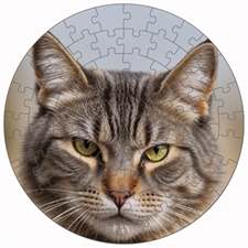 Round Puzzles