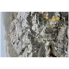 Traditional Jigsaw Puzzles