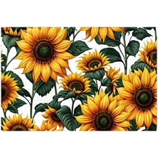 Traditional Jigsaw Puzzles