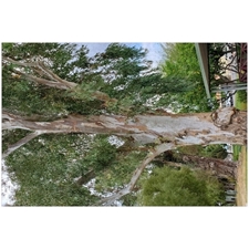 Traditional Jigsaw Puzzles