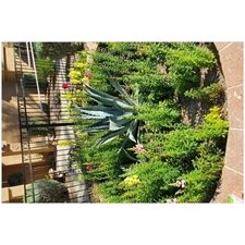 Traditional Jigsaw Puzzles