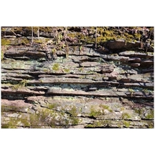 Traditional Jigsaw Puzzles