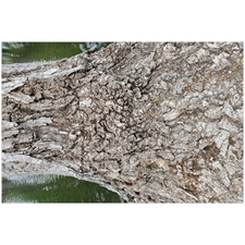 Traditional Jigsaw Puzzles
