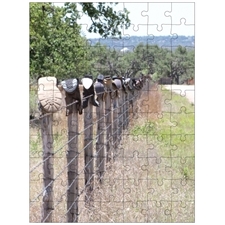 Traditional Jigsaw Puzzles