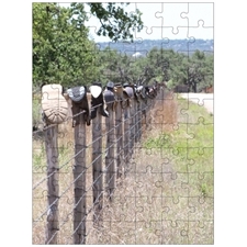 Boot-Lined Fence