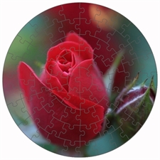 Round Puzzles
