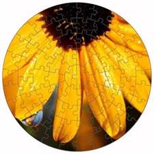 Round Puzzles