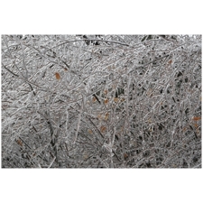 Traditional Jigsaw Puzzles