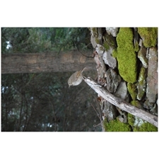 Traditional Jigsaw Puzzles