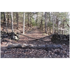 Traditional Jigsaw Puzzles