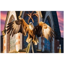 Traditional Jigsaw Puzzles