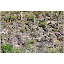 Traditional Jigsaw Puzzles
