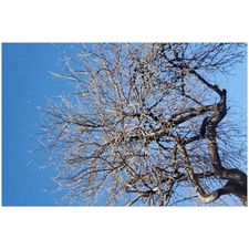 Traditional Jigsaw Puzzles