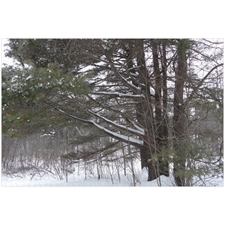 Traditional Jigsaw Puzzles