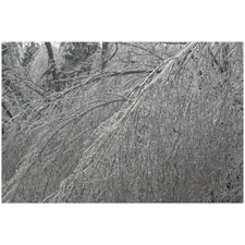 Traditional Jigsaw Puzzles