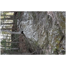 Traditional Jigsaw Puzzles