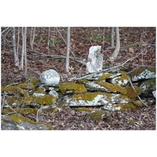 Traditional Jigsaw Puzzles