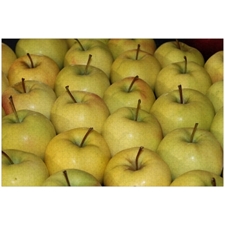 Traditional Jigsaw Puzzles