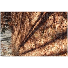 Traditional Jigsaw Puzzles