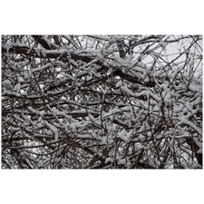 Traditional Jigsaw Puzzles