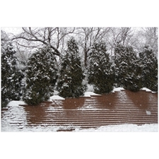 Traditional Jigsaw Puzzles