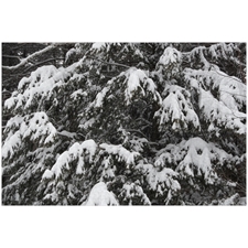 Traditional Jigsaw Puzzles
