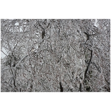Traditional Jigsaw Puzzles