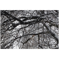 Traditional Jigsaw Puzzles