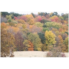 Traditional Jigsaw Puzzles