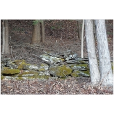 Traditional Jigsaw Puzzles
