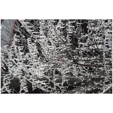 Traditional Jigsaw Puzzles