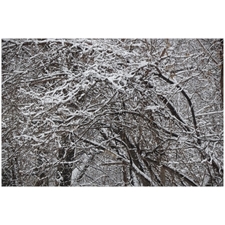 Traditional Jigsaw Puzzles