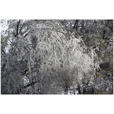 Traditional Jigsaw Puzzles