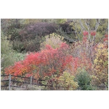 Traditional Jigsaw Puzzles