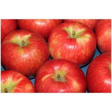 Traditional Jigsaw Puzzles