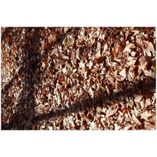 Traditional Jigsaw Puzzles