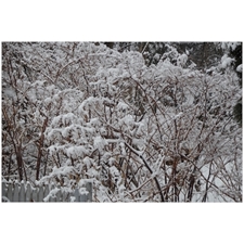 Traditional Jigsaw Puzzles