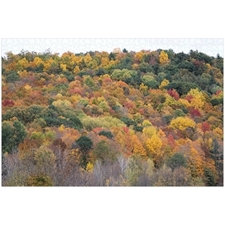 Traditional Jigsaw Puzzles
