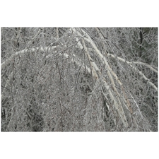 Traditional Jigsaw Puzzles